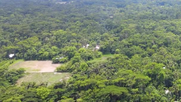 Légi Magaslati Távoli Falu Mélyen Sűrű Esőerdőben Amazóniában Brazília — Stock videók