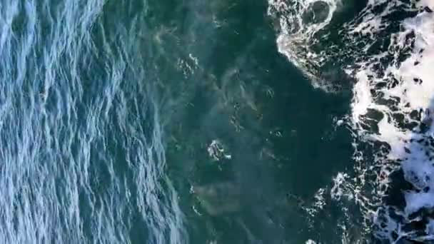 垂直ショット ピュージェットサウンドで海の水の景色 ワシントン州のベインブリッジ島からシアトルへのフェリーセーリングからPov — ストック動画