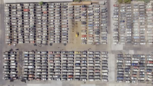 Overhead View People Looking Used Cars Buy Cheap Price Pick — 비디오