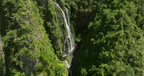 Cachoeira Can San Cristbal Mountains Rio Porto Rico Sol — Vídeo de Stock