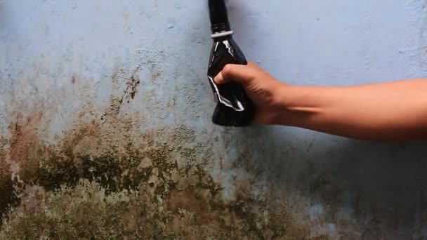Yavaş Çekimde Fışkırana Kadar Şişeyi Kahverengi Sıvıyla Doldur Videoları — Stok video