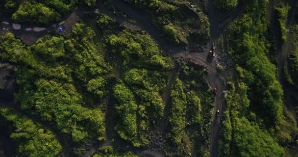 Unregelmäßige Wege Umweltschäden Durch Den Bergbau Kopfschuss Aus Der Luft — Stockvideo