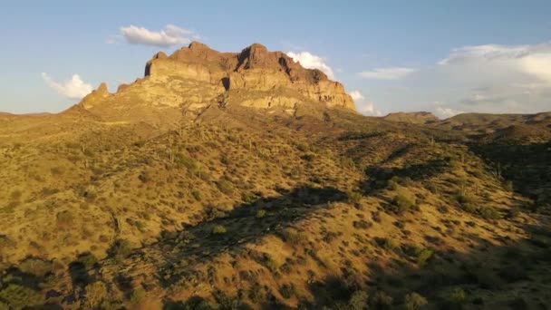 Aerial Shot Drone Flying Desert Golden Hour Mountains Background Cactus — Video