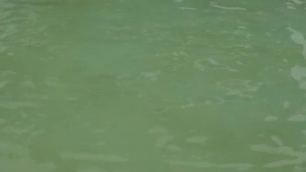 Eau Piscine Vague Avec Tapis Sol Bleu Reflet Des Rayures — Video