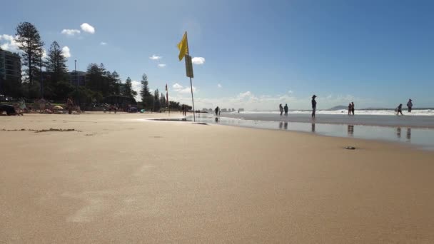 물에서 뛰쳐나와 오스트레일리아의 그대로 해변으로 갑니다 각도의 — 비디오