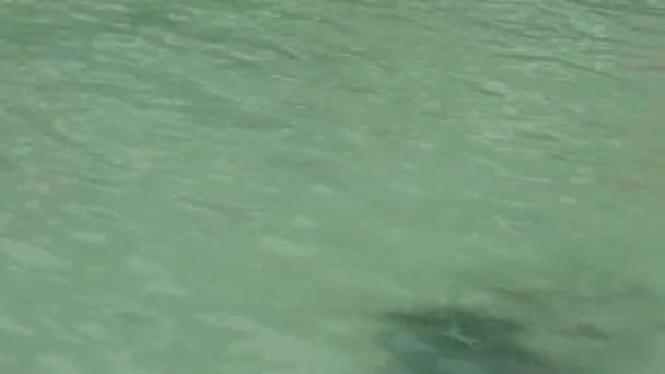 Eau Piscine Vague Avec Tapis Sol Bleu Reflet Des Rayures — Video