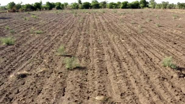 Krajobraz Popękanej Gleby Rozległej Suszy Rolnictwo Gujarat Indie Strzał Drona — Wideo stockowe