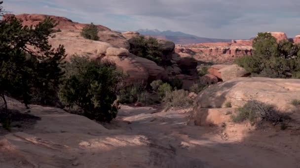 Canyonlands Nationaal Park Utah Rotsblokken Vegetatie Lucht Dolly Schot — Stockvideo