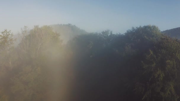 Кран Розкриває Постріл Пагорбів Кишенями Туману Туману Лісу — стокове відео