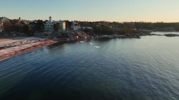ハンコの岩場 フィンランド南部の春の朝に飛ぶカモメに続く空中ビュー — ストック動画