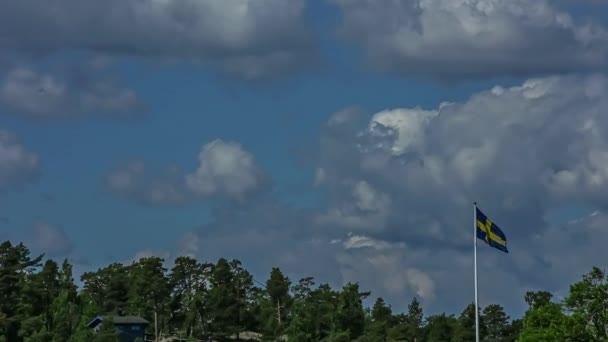 Tempo Lapso Tiro Bandeira Sueca Acenando Vento Livre Frente Floresta — Vídeo de Stock