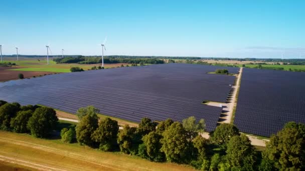 Solarmodule Farm Field Green Renewable Energy Und Rotierende Windkraftanlagen Hintergrund — Stockvideo