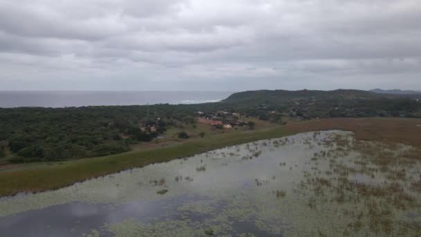 Exploration Des Vastes Marais Mozambique — Video