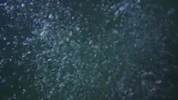 Underwater Slow Motion Shot Large Group Bubbles Raising Surface — Stock Video