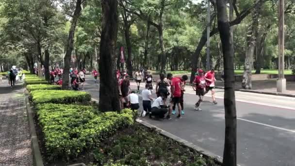 Shot Group Participants Mexico City Marathon Receiving Basic Medical Aid — Stock Video