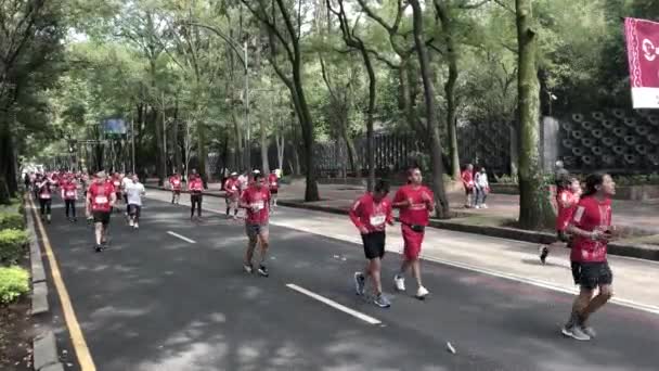 Tiro Grupo Corredores Maratona Cidade Mexicana 2022 Frente Museu Nacional — Vídeo de Stock