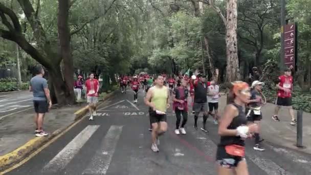 Colpo Frontale Gruppo Corridori Della Maratona Cittadina Messicana 2022 Nella — Video Stock