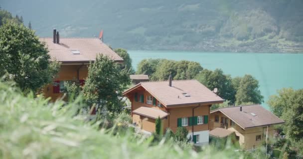 Iseltwald Swiss Tutup Rumput Pemandangan Gunung Danau Lereng Bukit Kabin — Stok Video