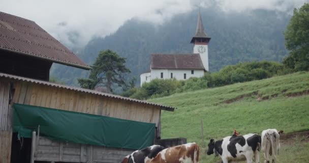 Wimmis Schweiz Europa Scheune Kirche Schloss Schloss Ländlich Dorf Berg — Stockvideo