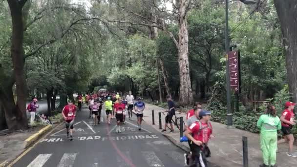 Aufnahme Einer Läufergruppe Des Mexikanischen Stadtmarathons 2022 Die Sich Chapultepec — Stockvideo