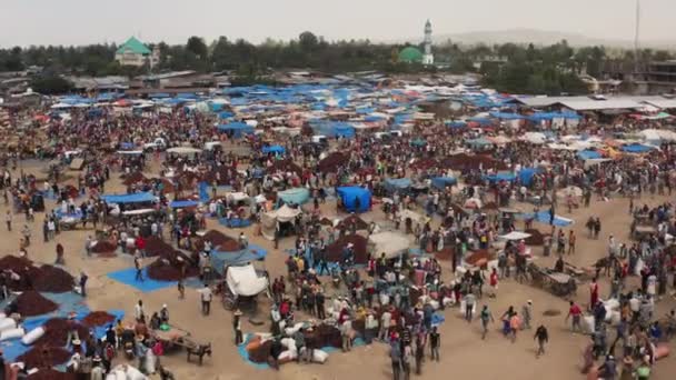 Menschen Auf Dem Paprikamarkt Mit Zelten Und Haufen Getrockneter Chilischoten — Stockvideo