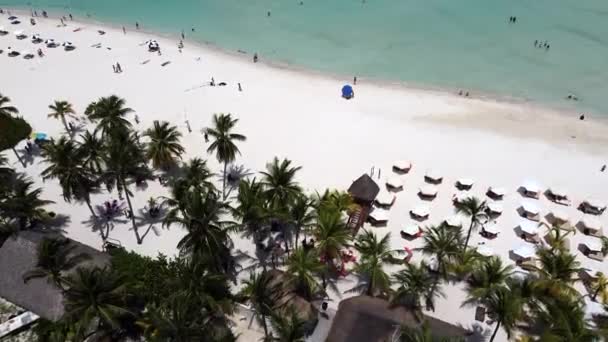 Hava Aracı Quintana Roo Meksika Daki North Beach Mujeres Adasındaki — Stok video