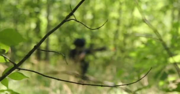 Tipo Táctico Camina Por Bosque Con Rifle Airsoft — Vídeos de Stock