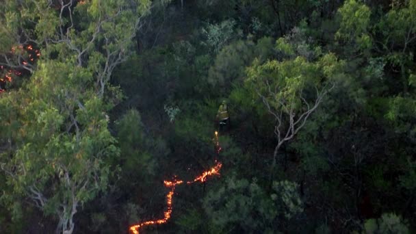 Noodzakelijk Terug Branden Wordt Gedaan Een Noord West Australië Bos — Stockvideo