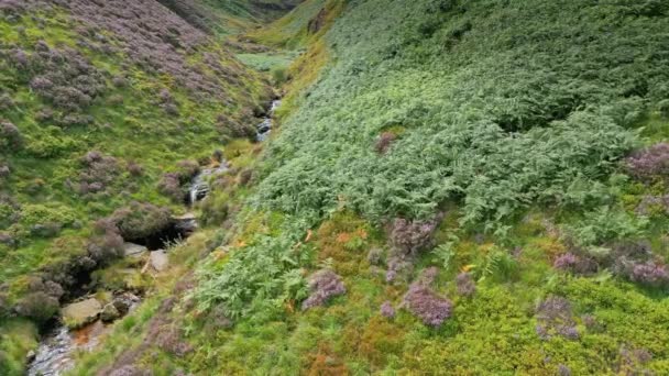 Slow Moving Waterfall Stream Flowing Moorland Valley West Yorkshire England — Stock Video