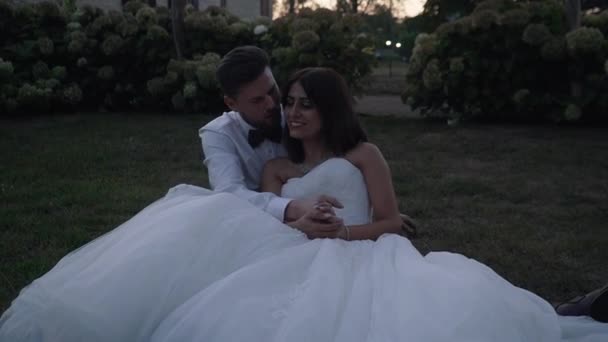 花嫁と新郎の抱きしめとキス上の草 — ストック動画