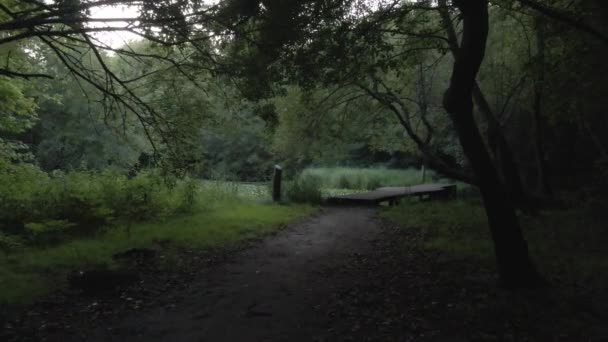 小さな湖でフランスの公園で撮影された滑らかな4Kは 公園の暗い側面を示しています — ストック動画