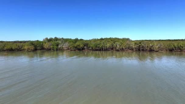 Hermoso Bosque Manglares Arroyo Noroeste Australia — Vídeos de Stock