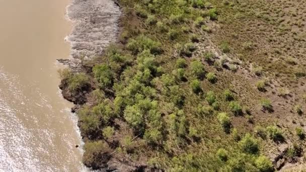 Hermoso Bosque Manglares Arroyo Noroeste Australia — Vídeos de Stock