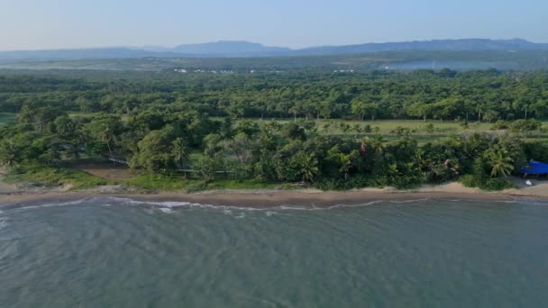 Gęsty Las Tropikalny Playa Dorada Foreshore Puerto Plata Dominikana Strzał — Wideo stockowe