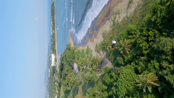 Légi Függőleges Lövés Playa Dorada Óceán Trópusi Pálmafák Nyáron Puerto — Stock videók