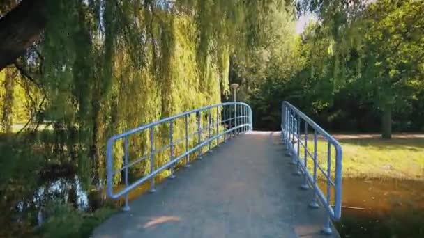 Über Kleine Brücke Vondelpark Amsterdam Trauerweide Hängt Sommerzeit — Stockvideo