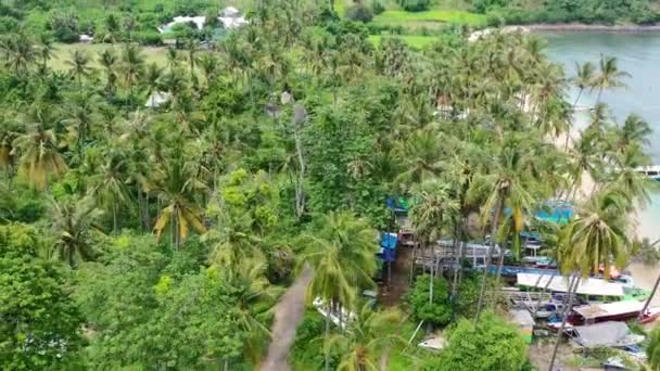 Lanskap Udara Tropis Teluk Mentigi Pantai Lombok Dengan Pohon Kelapa — Stok Video