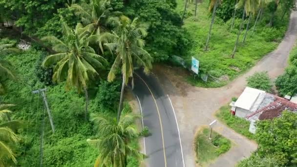 Místní Člověk Kráčí Tropické Džungli Silnici Lomboku Obklopen Kokosovými Stromy — Stock video