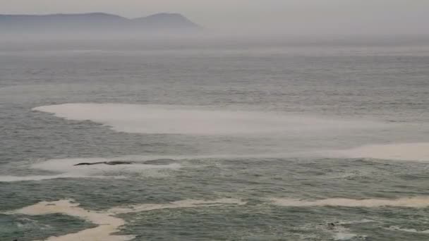 Zuidelijk Rechts Walviskap Walker Bay Hermanus Uitzicht Vanaf Kliffen Aan — Stockvideo