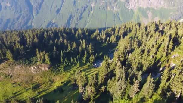 加拿大不列颠哥伦比亚省太平洋山脉松树上覆盖的深谷上空的空中无人机 — 图库视频影像