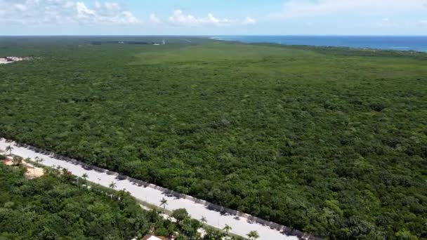 Zöld Erdő Dzsungel Tulum Mexikó Egy Üres Strand Tengerpartján Napsütéses — Stock videók