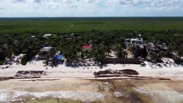 Hotel Zone Trópusi Tulum Mexikó Tönkretette Barna Sargassum Napsütéses Napon — Stock videók