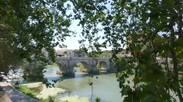 Pont Saint Ange Sur Rivière Tibre Travers Végétation Des Arbres — Video