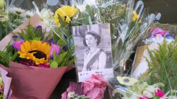 Kraliçe Elizabeth Çiçek Buketleriyle Çevrili Bir Fotoğrafı Ngiliz Başkonsolosluğu Nun — Stok video