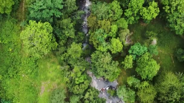 Pyreneeën Berglandschap Top Naar Beneden Luchtfoto Van Groene Ongerepte Natuurlijke — Stockvideo