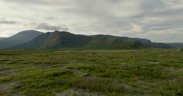 Low Aerial Scenic Green Meadow Scandinavian Wilderness — Stock Video