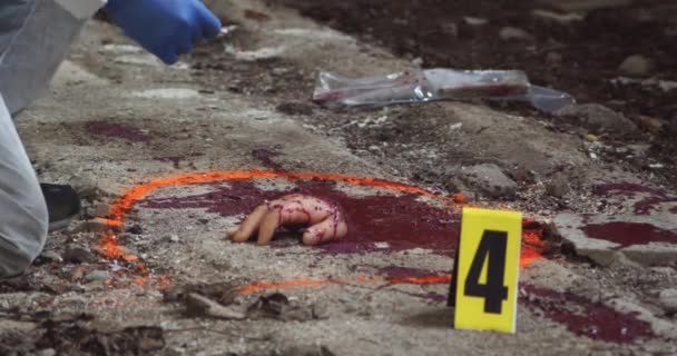 Törvényszéki Nyomozó Vért Vagy Dns Mintát Vesz Egy Szörnyű Bűntény — Stock videók