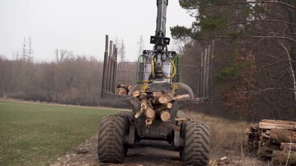 Grapple Cargador Agarre Descarga Troncos Pila Por Carretera Forestal — Vídeos de Stock