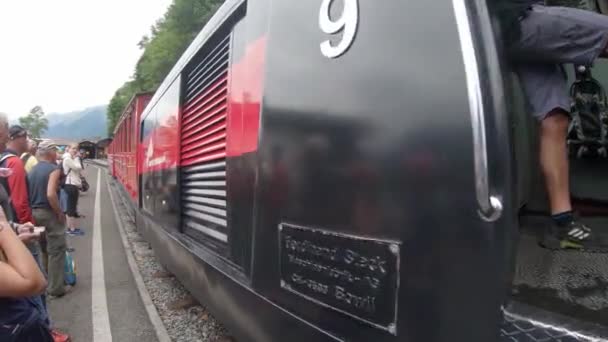 スイスのブリエンツ駅にロソーンのコグ列車が到着するのを待っている観光客 — ストック動画