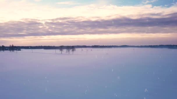 Carro Solitário Dirigindo Através Congelamento Paisagem Rural Durante Queda Neve — Vídeo de Stock